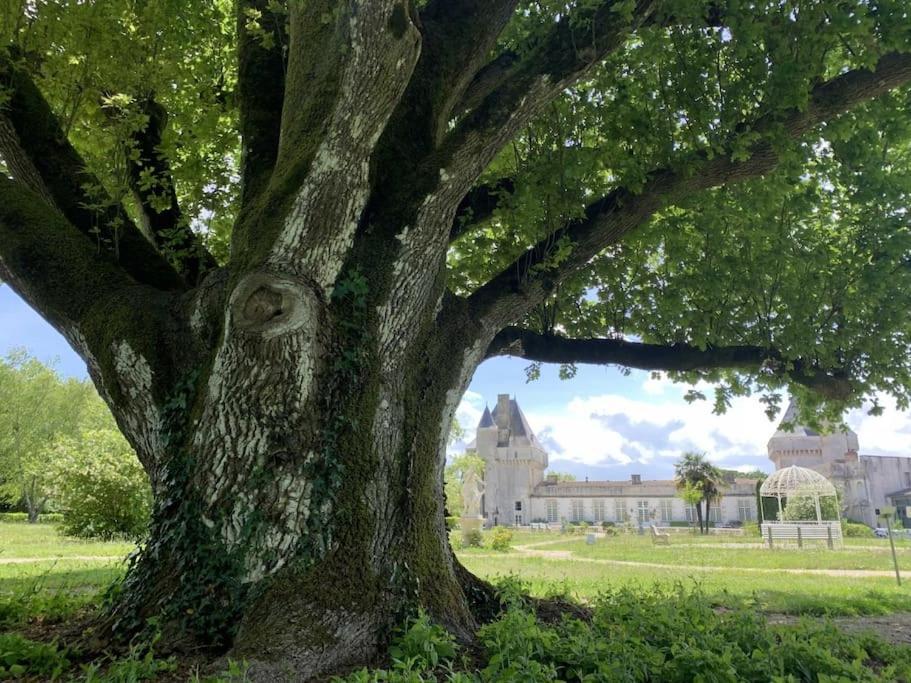Chateau De Mornay Saint-Pierre-de-l'Isle Ngoại thất bức ảnh